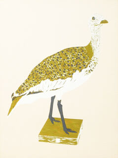 Taxidermy Bird