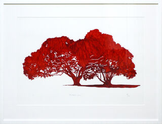 Pohutukawa Love