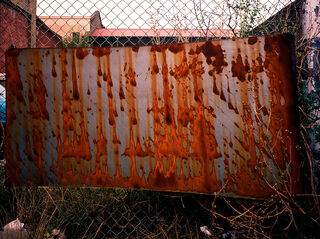 Rust Pattern / Fence (1979) 2/20