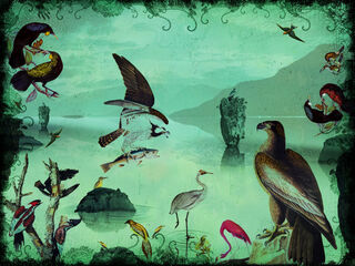 Bird Land 2/20