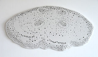 Common Jelly Fish