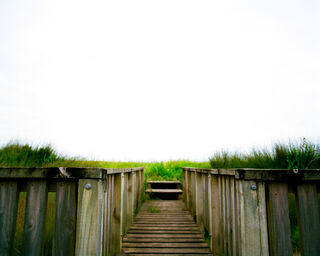 The Endlessness 1/3