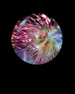 Silk Flower