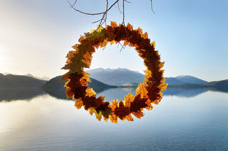 Autumn Leaf Cycle