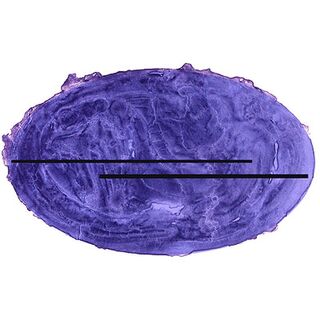 Amethyst 25/40