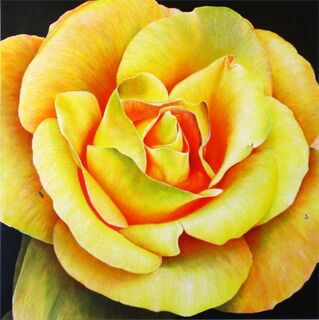 Yellow (A Rose for Patsy)