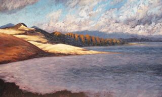 Hokianga Harbour from Lookout Road II