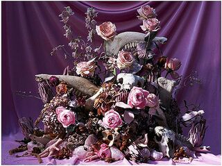 Blush Shrine and Collected Bones
