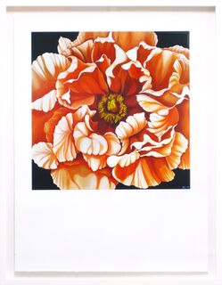 Peony #1 3/30