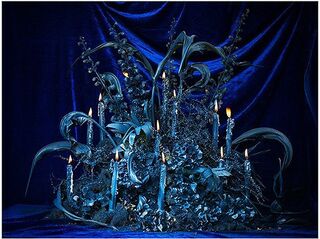 Illuminated Blue Velvet and Foliage