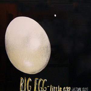 Big Egg - Little Egg 22/100