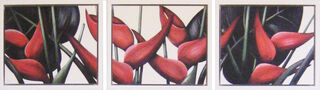 Heliconia 40/180