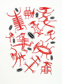 Red Dragons of New Zealand 18/24