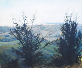Top Road Mimiwhangata