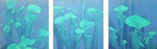 Wintergardens (triptych)