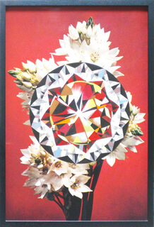 Chincherinchees