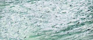 Pauanui,Cyclone Cook, White Water # 2